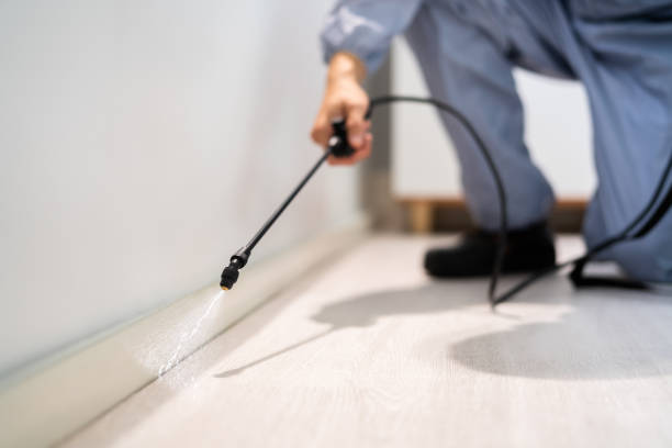 Licensed Termite Control service in State Line, PA - Show Me Pest Control